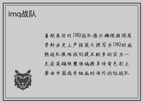 imq战队